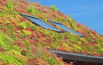 Cluddley living roof systems